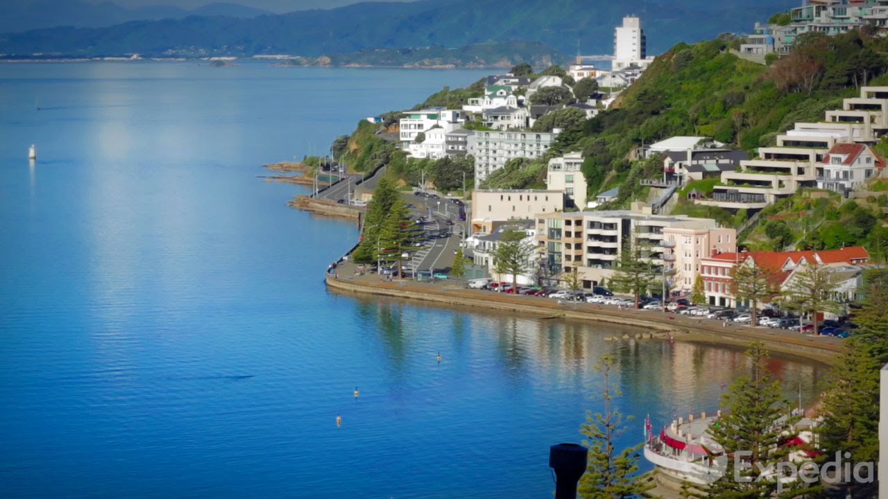 Wellington Vacation Travel Guide | Expedia